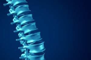 Human Spine concept as medical health care anatomy symbol with the skeletal spinal bone structure closeup on a dark blue background as blank copy space.